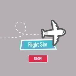 Flight Sim Pro